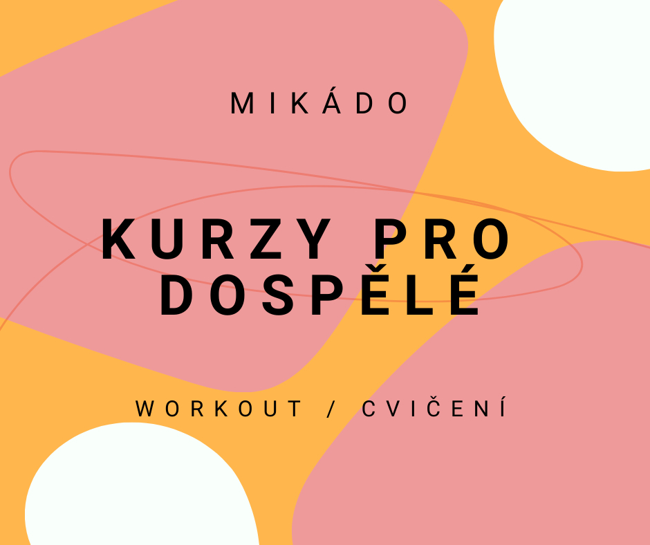 Kurzy pro dospělé
